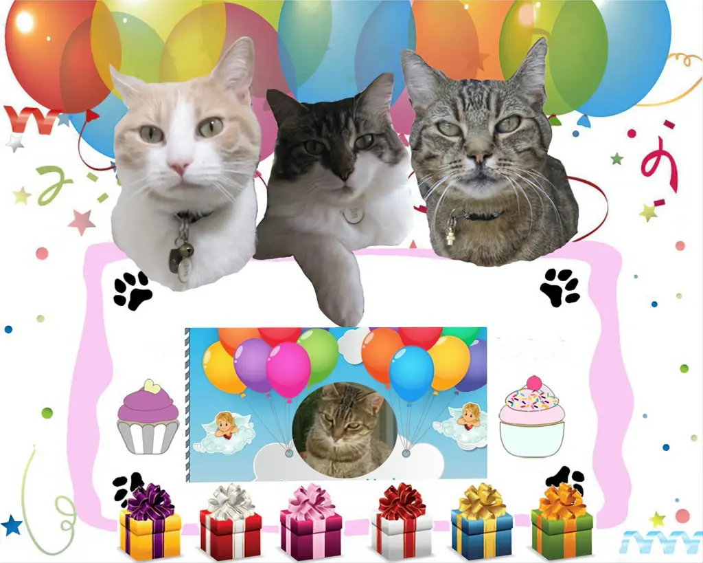 Condolence image of ❤️❤️❤️❤️❤️❤️❤️❤️❤️❤️❤️❤️