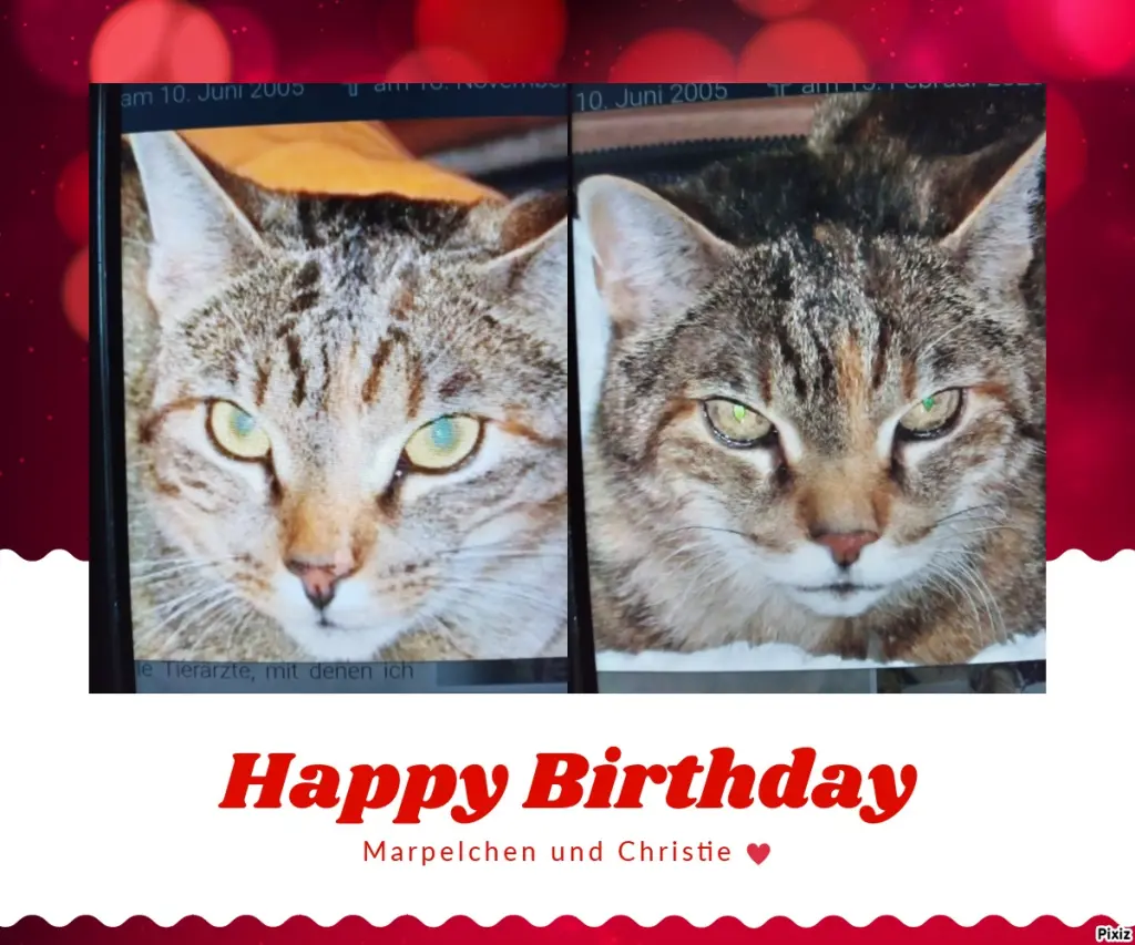 Condolence image of Für Dich kleines Geburtstagssternchen Marpelchen ♥️