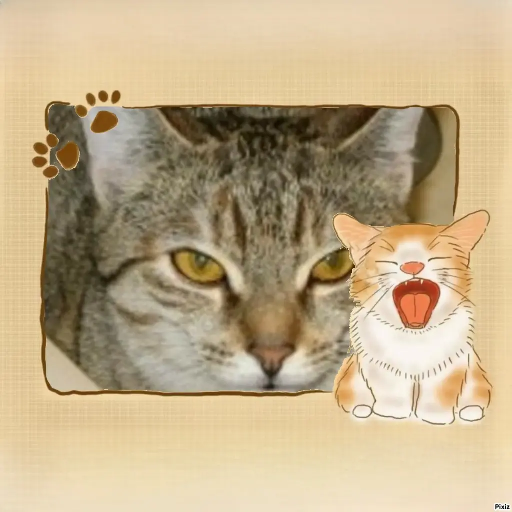 Condolence image of Tanja mit Timmy im Herzen