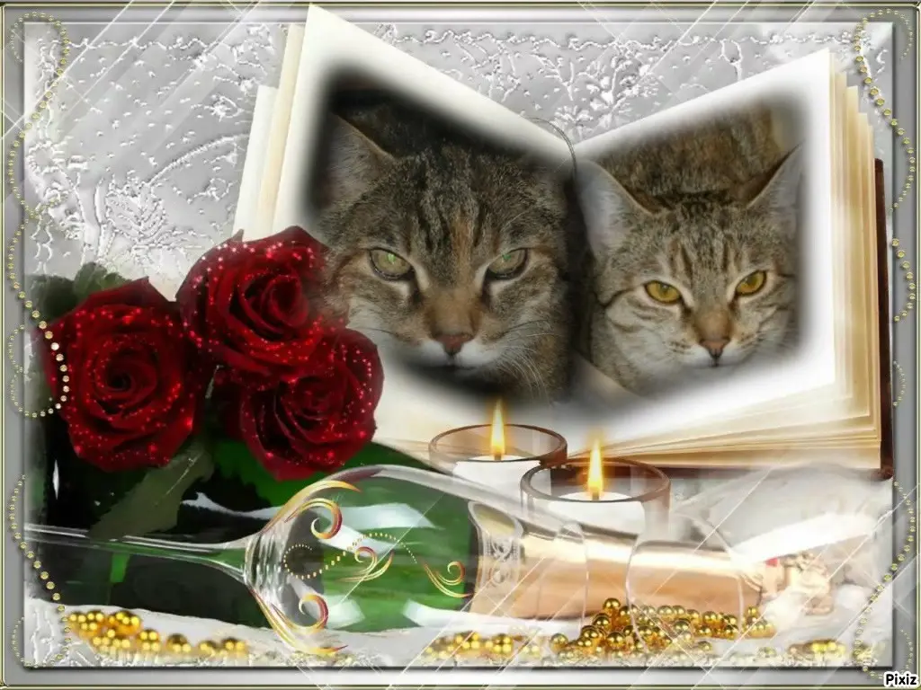 Condolence image of Tanja mit Timmy im Herzen