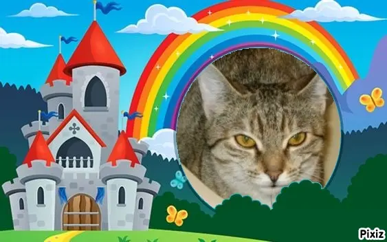 Condolence image of Tanja mit Timmy im Herzen