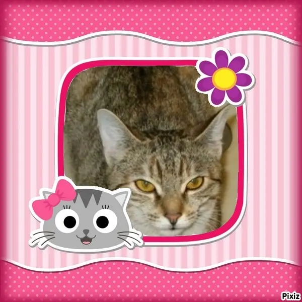 Condolence image of Tanja mit Timmy im Herzen 