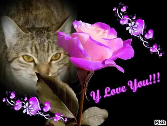 Condolence image of Tanja mit Timmy im Herzen 