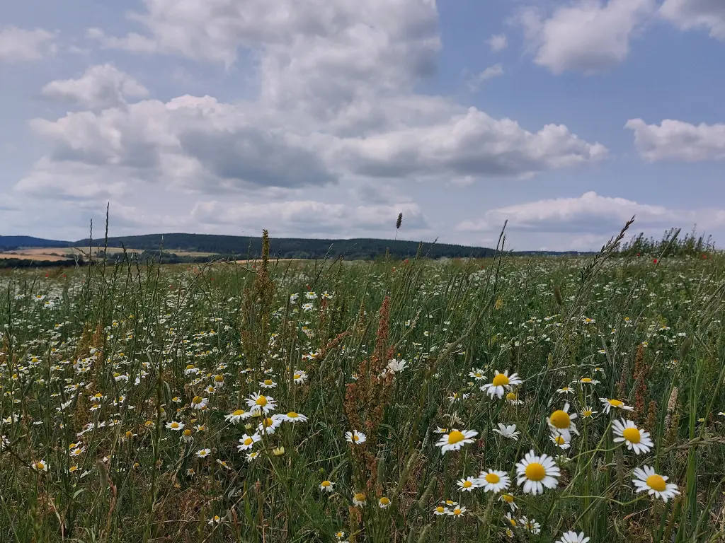 Condolence image of Daniela mit Pauline im ♥️