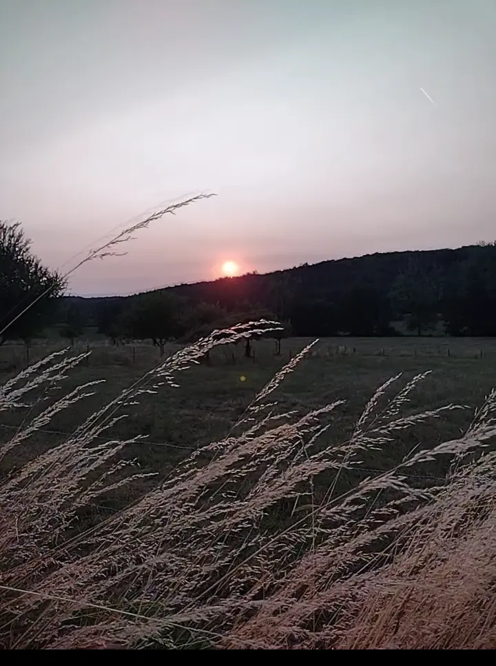 Condolence image of Corinna mit Emma, Pummelchen und anderen Sternlein im ❤️