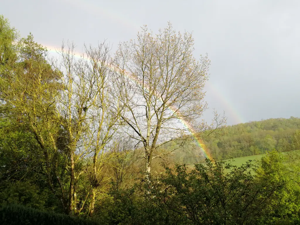 Condolence image of Daniela fürs Marpeli ❤️