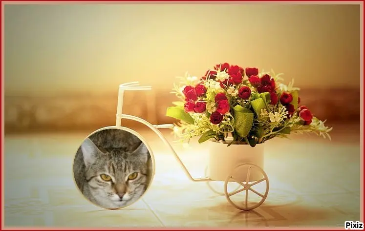 Condolence image of Tanja mit Timmy im Herzen 