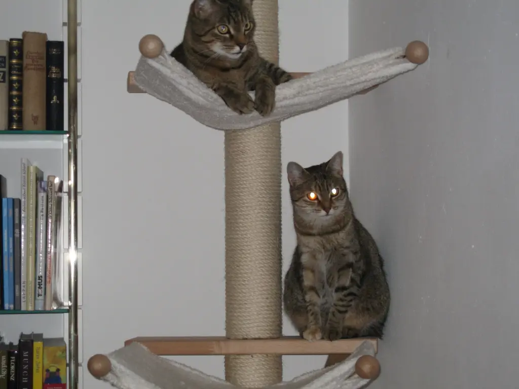 Condolence image of an mein Marpeli