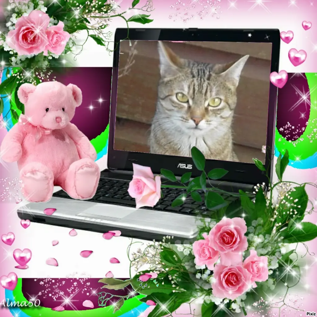 Condolence image of Sternchenpost ⭐