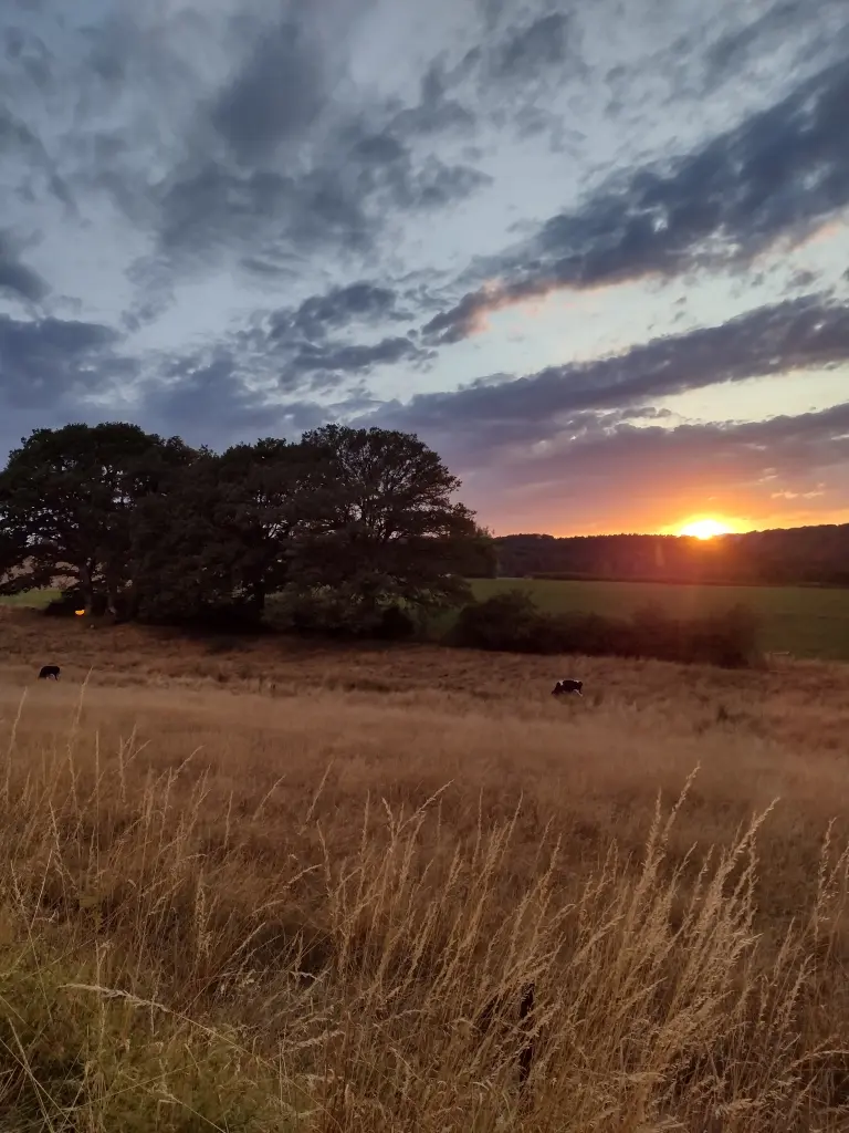 Condolence image of Corinna mit Emma, Pummelchen und anderen Sternlein im ❤️