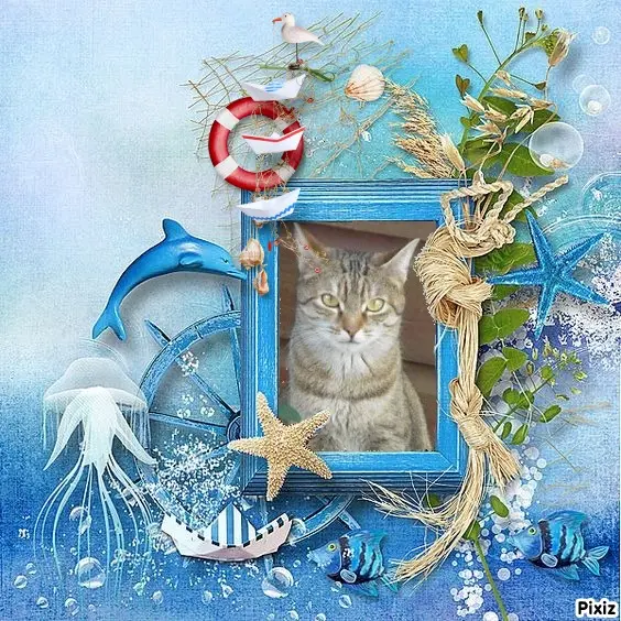 Condolence image of Patricia mit Bunny ❤️