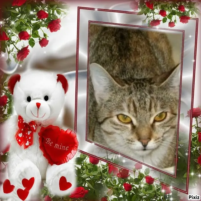 Condolence image of Tanja mit Timmy im Herzen