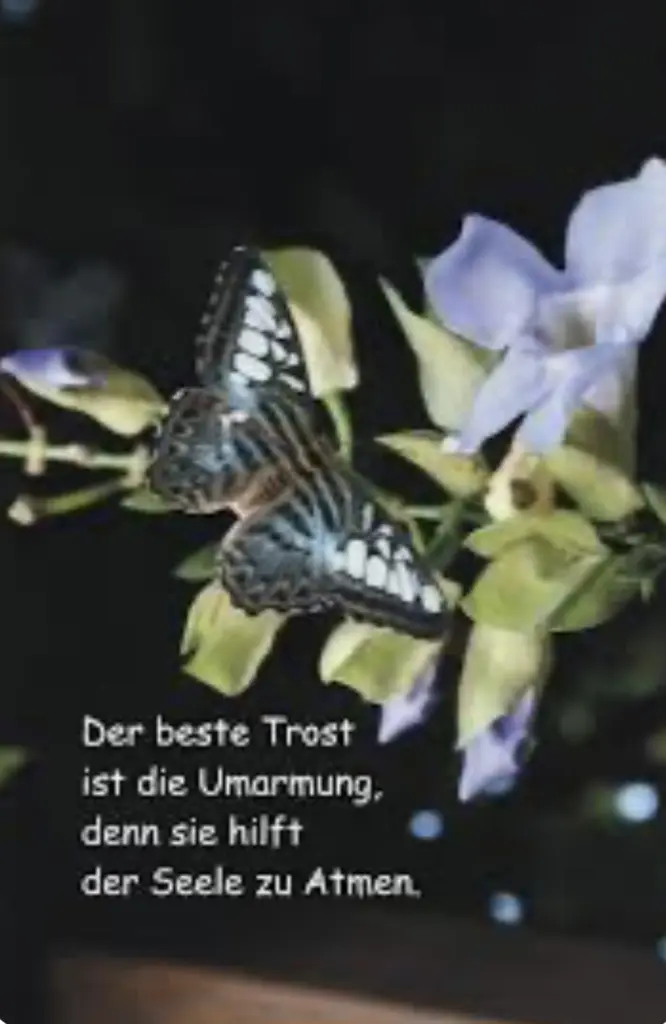 Condolence image of An Marpelchen und Mama Elisabeth