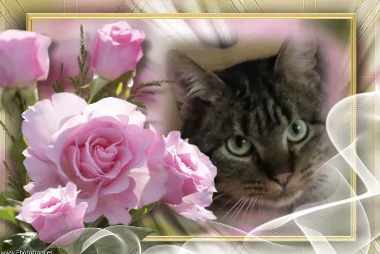 Condolence image of Ravi mit Mama Carmen