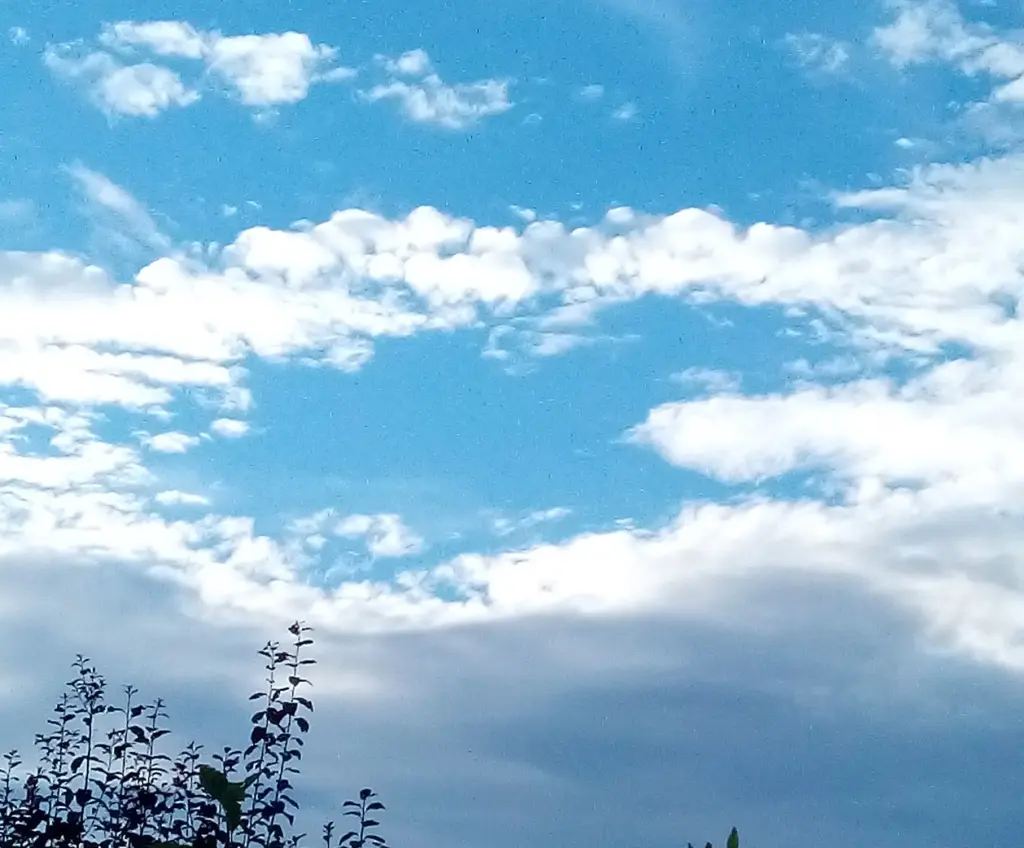 Condolence image of an mein Marpeli ♥