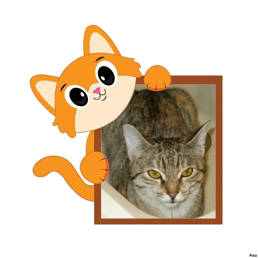 Condolence image of Tanja mit Timmy im Herzen 