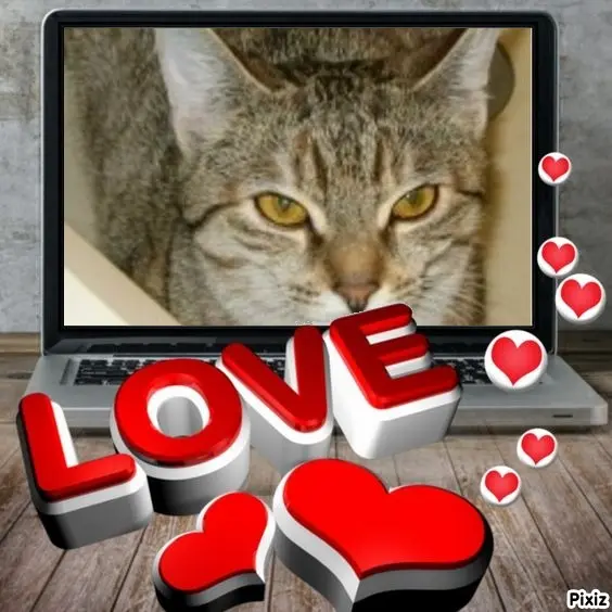 Condolence image of Tanja mit Timmy im Herzen 