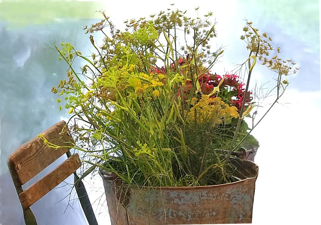 Condolence image of Mirilein und Snooperle ❤️