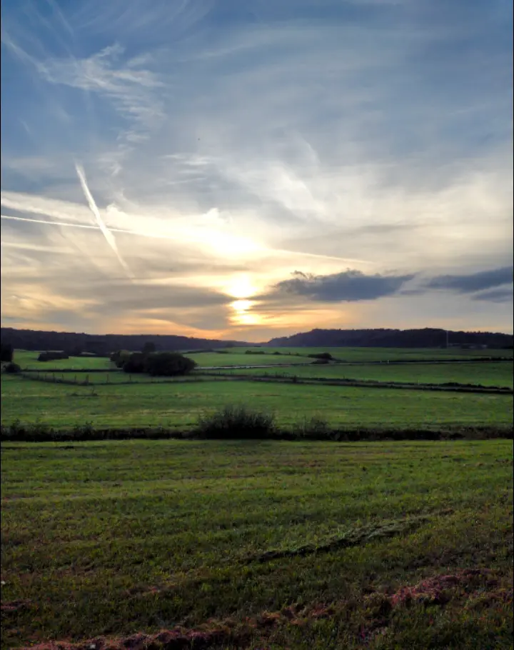 Condolence image of Corinna mit Emma, Pummelchen und anderen Sternlein im ❤️