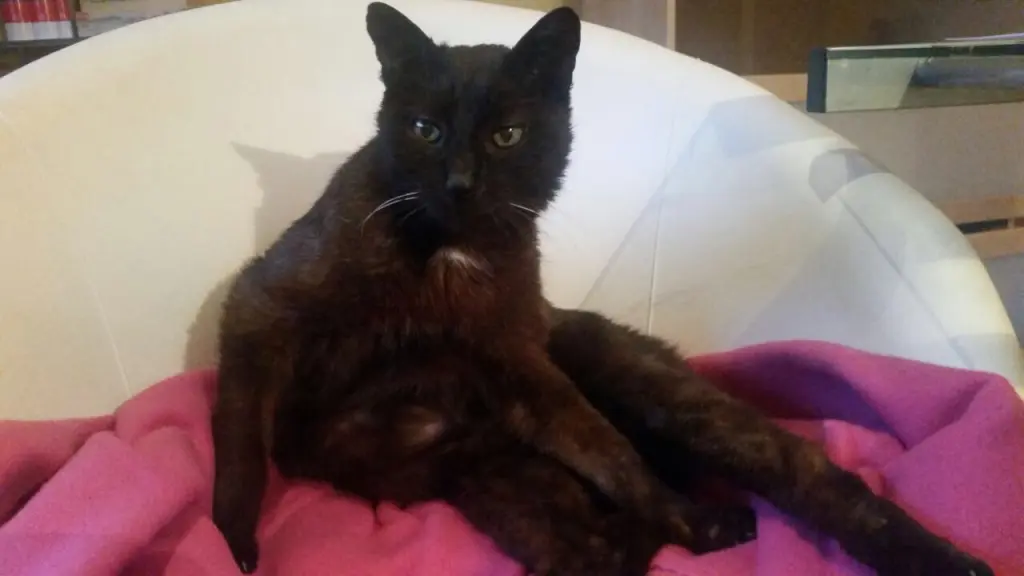 Condolence image of An Marpeli