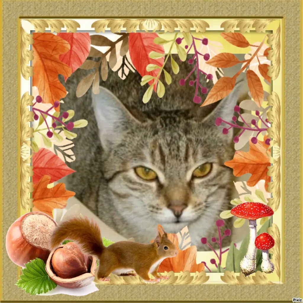 Condolence image of Tanja mit Timmy im Herzen 