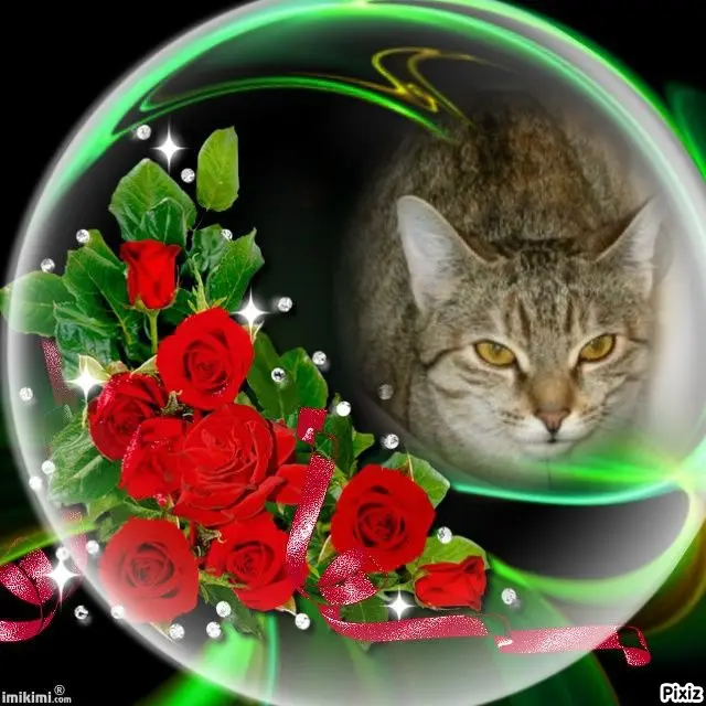 Condolence image of Tanja mit Timmy im Herzen 