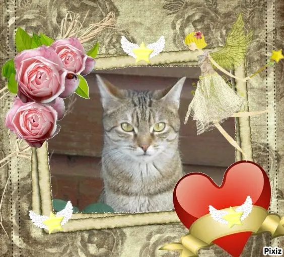 Condolence image of Patricia an Marpelchen ❤️