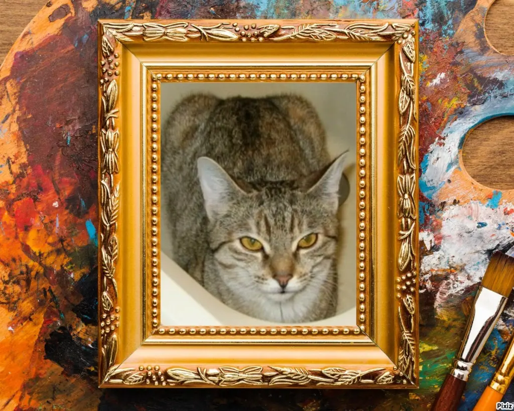 Condolence image of Tanja mit Timmy im Herzen