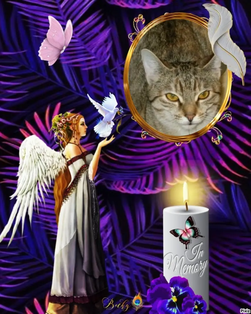 Condolence image of Tanja mit Timmy im Herzen