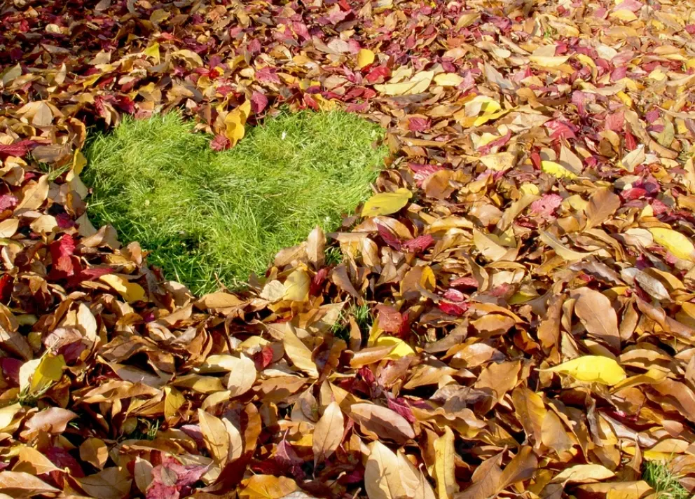 Condolence image of Daniela an Christie ❤️