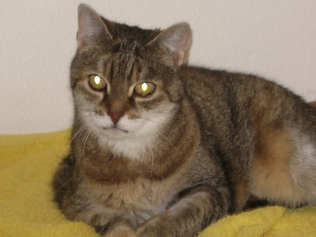 Condolence image of es ist Liebe für immer ♥