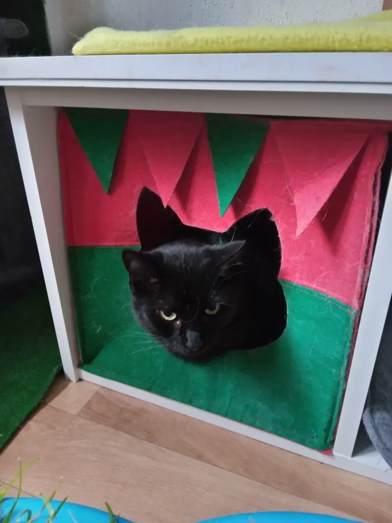 Condolence image of Für die kleine Marpeli ♥️