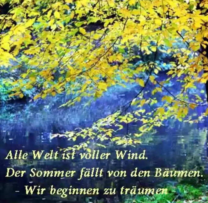 Condolence image of Corinna mit Emma, Pummelchen und anderen Sternlein im ❤️