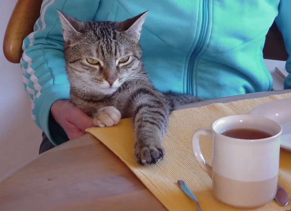 Condolence image of für immer ♥