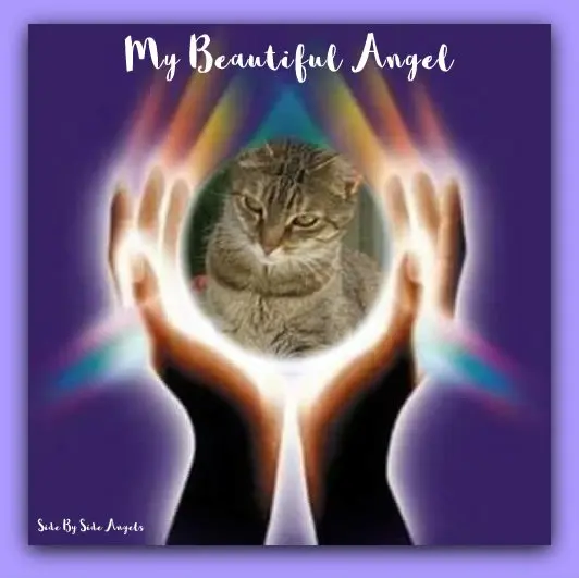 Condolence image of ❤️❤️❤️❤️❤️❤️❤️❤️❤️❤️❤️❤️