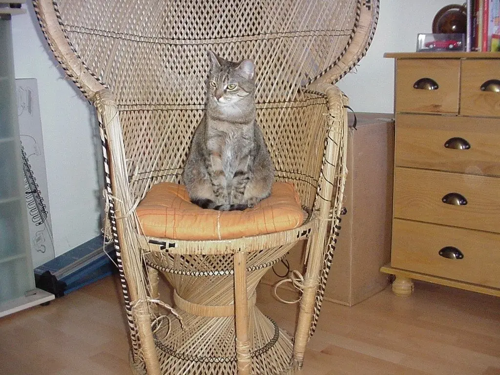 Condolence image of ♥♥♥♥♥