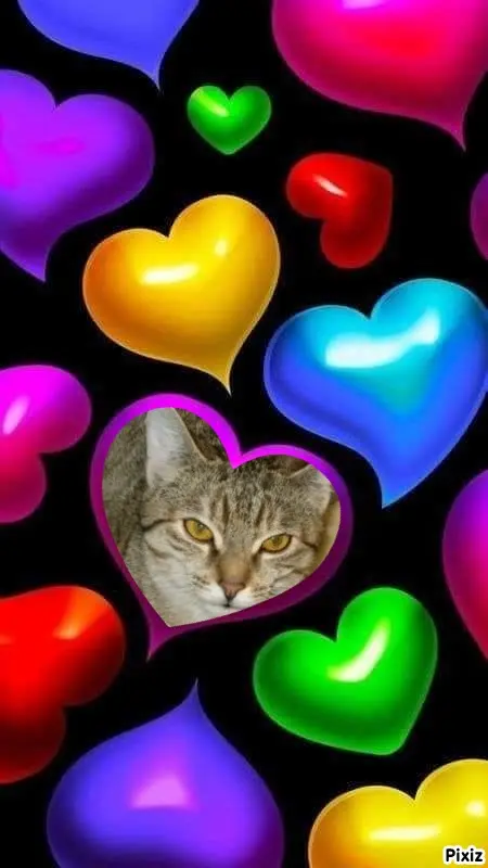 Condolence image of Tanja mit Timmy im Herzen