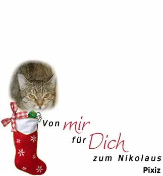 Condolence image of Tanja mit Timmy im Herzen 