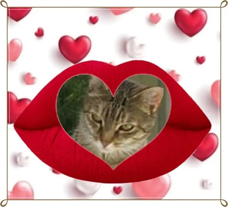 Condolence image of ❤️❤️❤️❤️❤️❤️❤️❤️❤️❤️