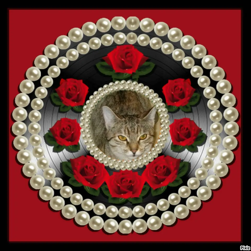 Condolence image of Tanja mit Timmy im Herzen 