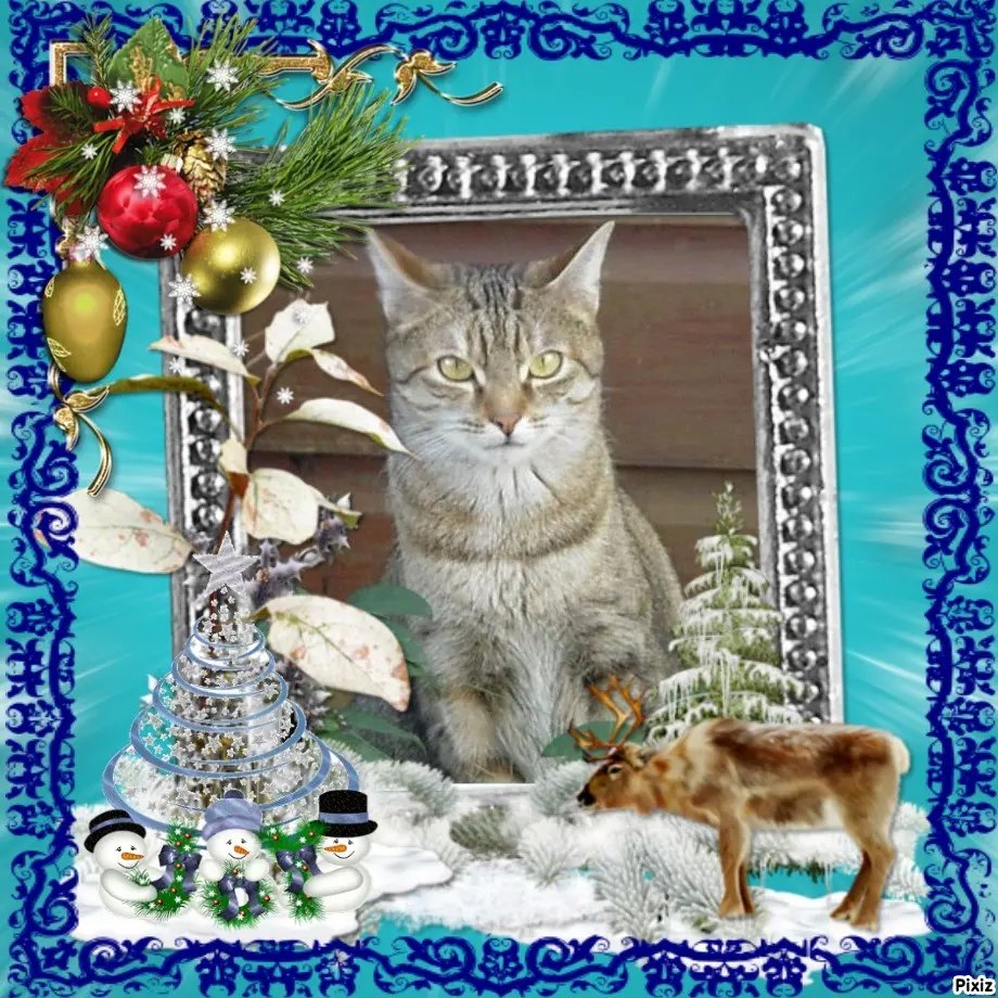 Condolence image of Patricia mit Bunny ❤️ 