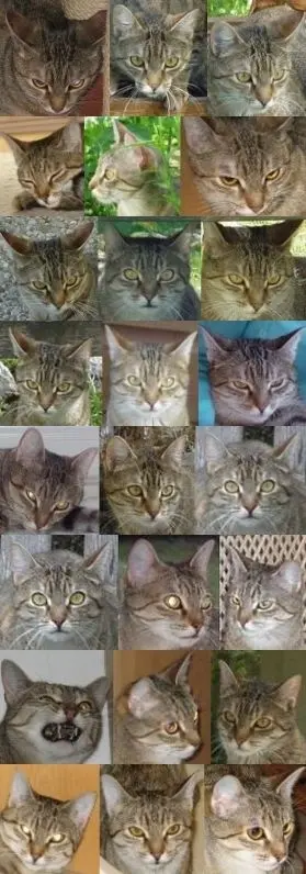 Condolence image of für mein geliebtes Marpeli ♥