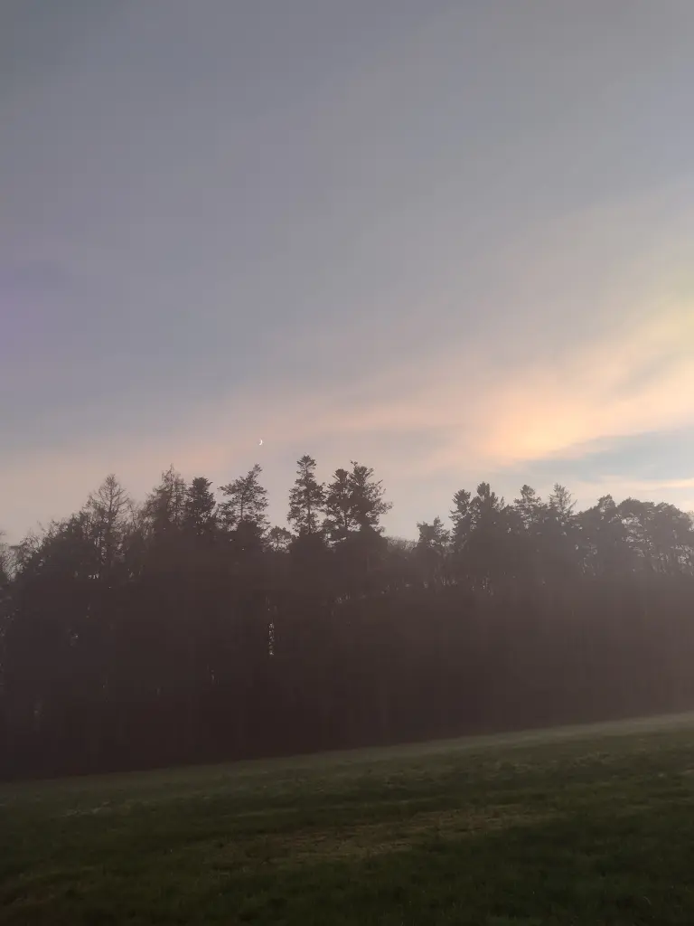 Condolence image of Corinna mit Emma, Jengi, Pummelchen und anderen Sternleine im Herzen