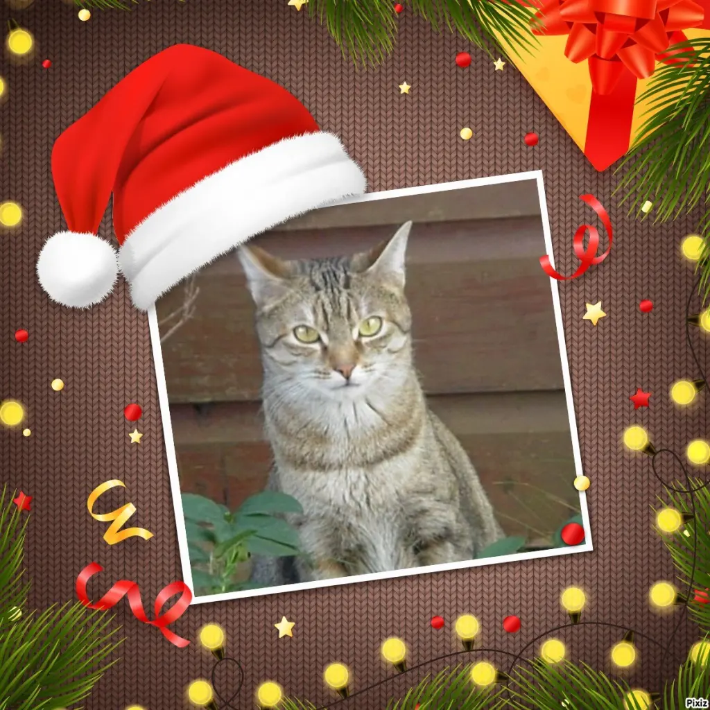 Condolence image of Schöne Festtage ❤️ 