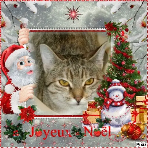 Condolence image of Tanja mit Timmy im Herzen 