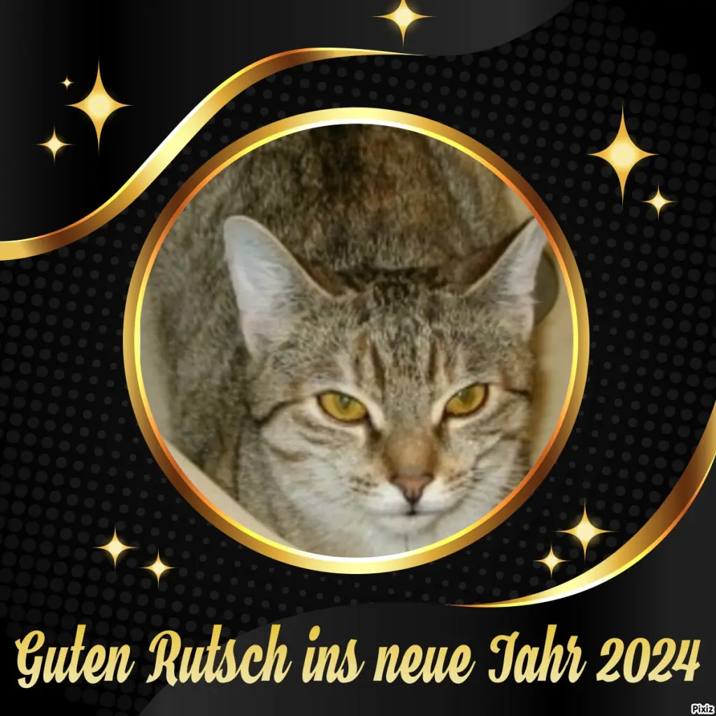 Condolence image of Tanja mit Timmy im Herzen 