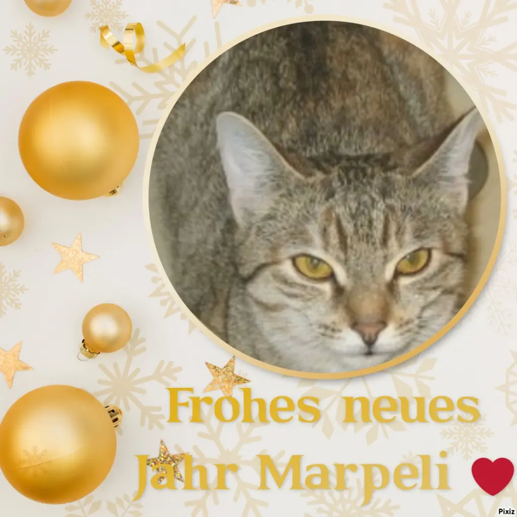 Condolence image of Tanja mit Timmy im Herzen 