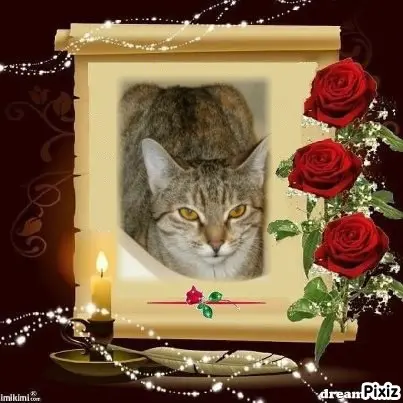 Condolence image of Tanja mit Timmy im Herzen 