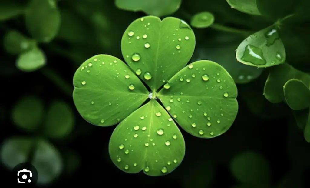 Condolence image of An Marple und Elisabeth 