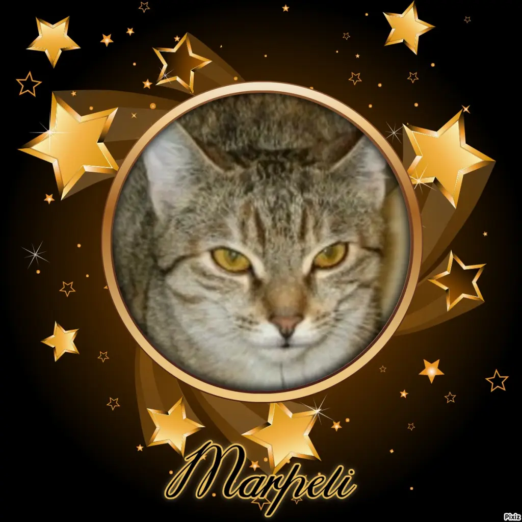 Condolence image of Tanja mit Timmy im Herzen 